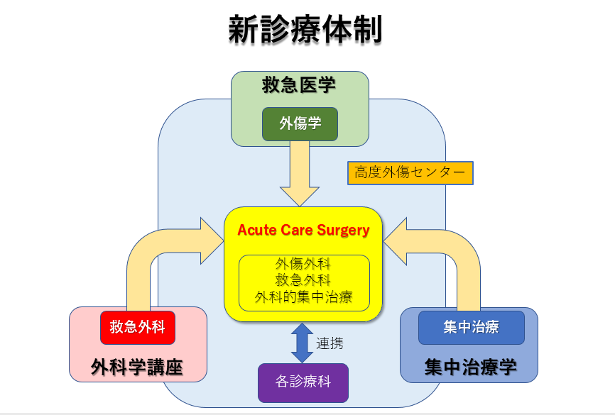 新診療体制組織図